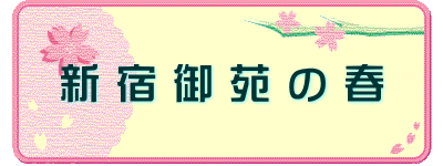 新 宿 御 苑 の 春