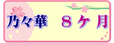 乃々華　８ ケ 月