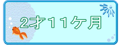 2˂PPP